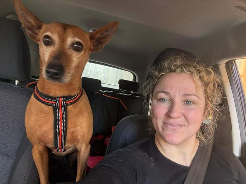 ZUMA-liebevoller Podenco mit großem Herz sucht sein Zuhause für immer