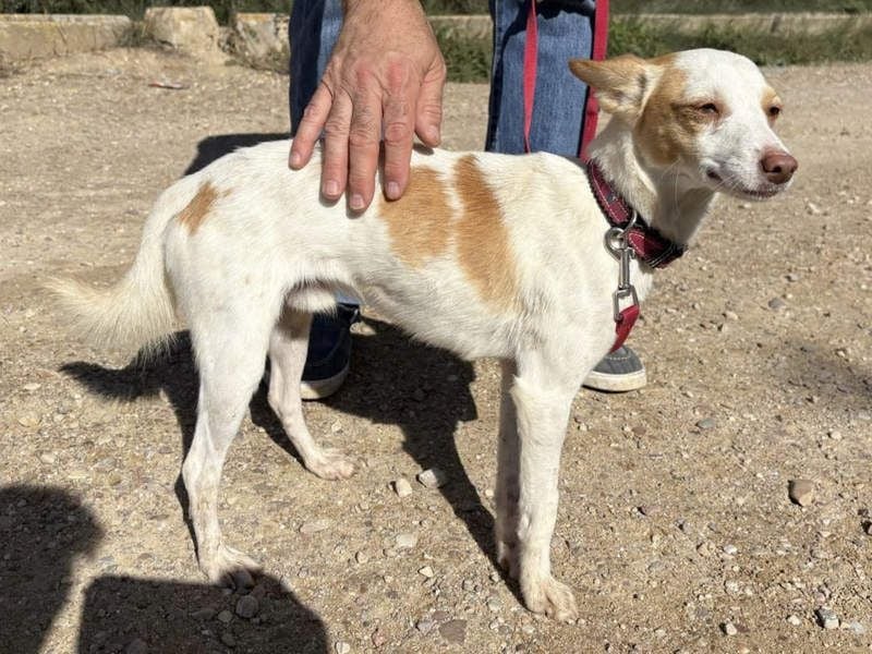 ELIO-friedlicher, ruhiger, ausgeglichener Bub sucht sein warmes, liebevolles Zuhause