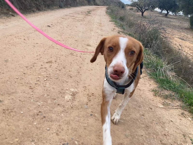 FINTIS- freundliches, bewegungsfreudiges, etwas schüchternes Mädchen sucht ihr liebevolles Zuhause