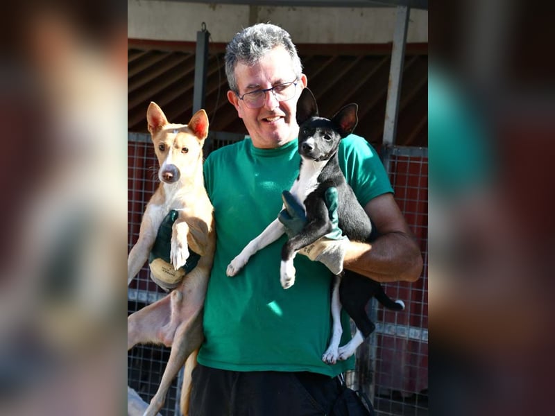 CANELO- wartet in 83146 Surheim auf liebevolles Zuhause