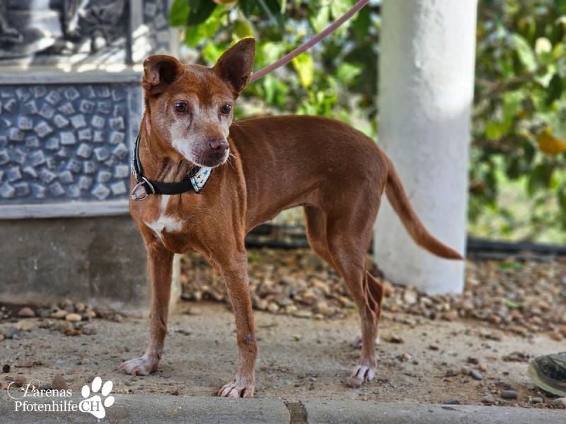 Lumi ist einfach zum Verlieben