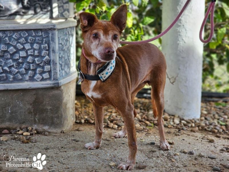 Lumi ist einfach zum Verlieben