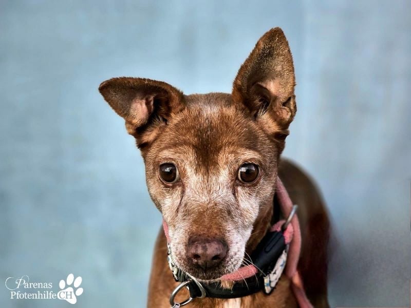 Lumi ist einfach zum Verlieben