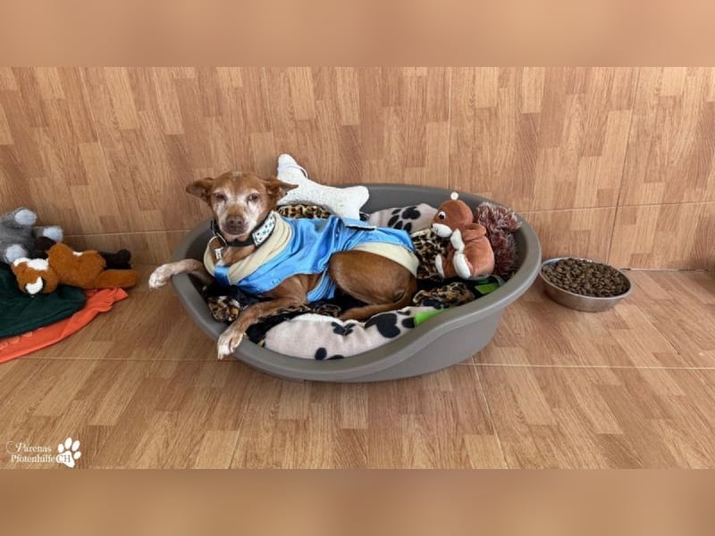 Lumi ist einfach zum Verlieben