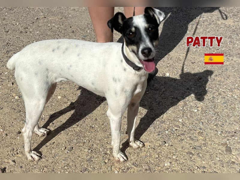 Patty - unkompliziert und sozial