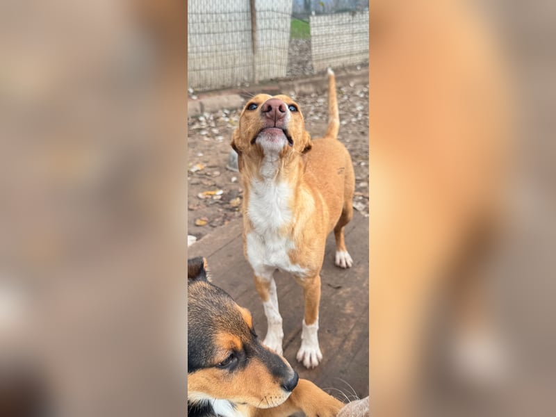 Natalio - freundlich und menschenbezogen