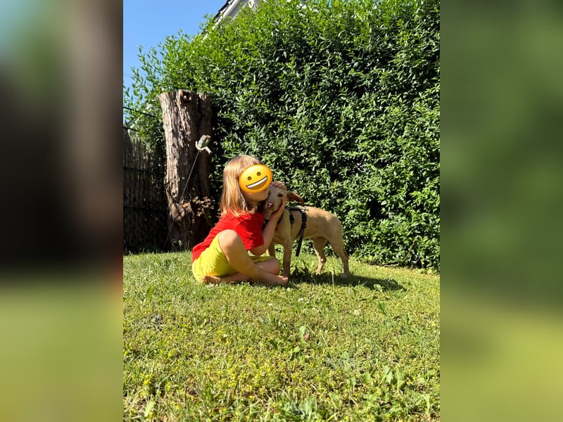 Puma - kleiner Podenco Maneto Mix mit Raketenbeinchen und Ideen im Kopf