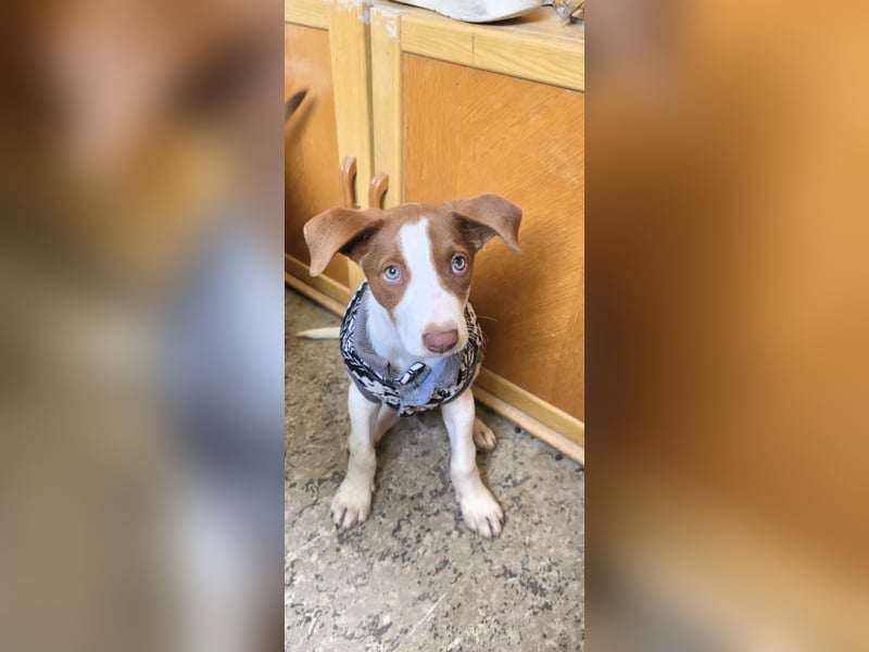 Jalo sucht seine Familie