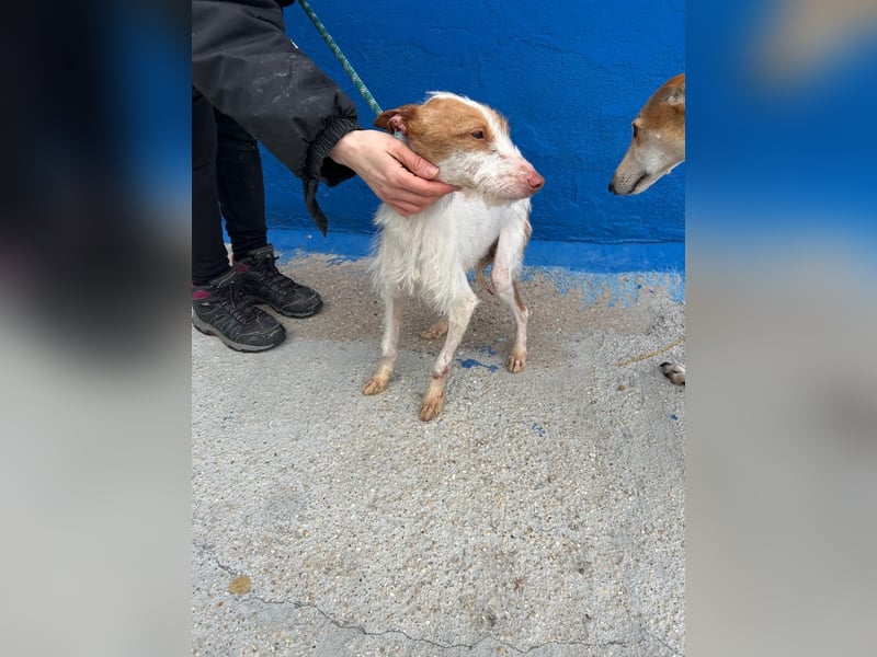 Black, hatte keine schöne Vergangenheit