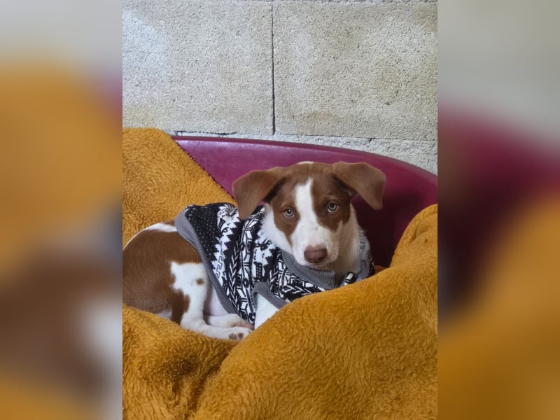 Jalo sucht seine Familie