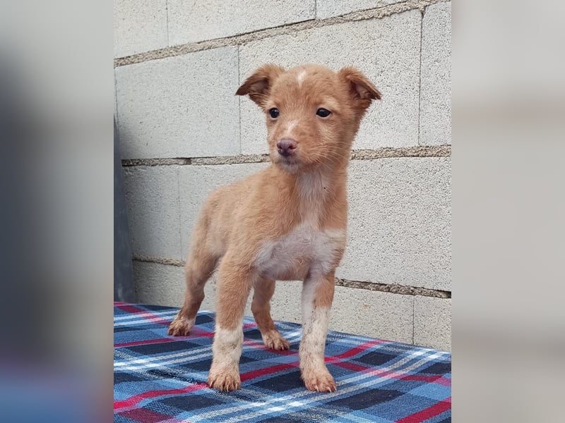 Bianca, kleines Mädchen sucht ihr Glück