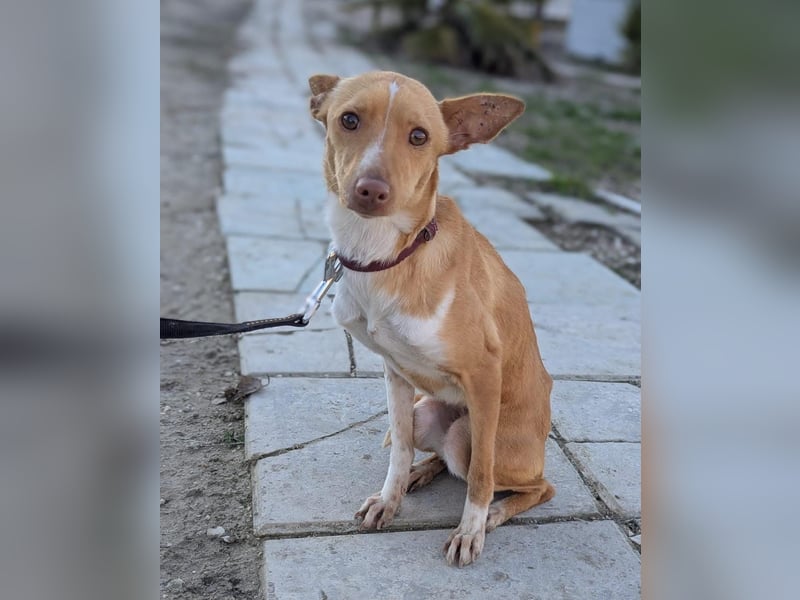 April, vorsichtig und noch schüchtern