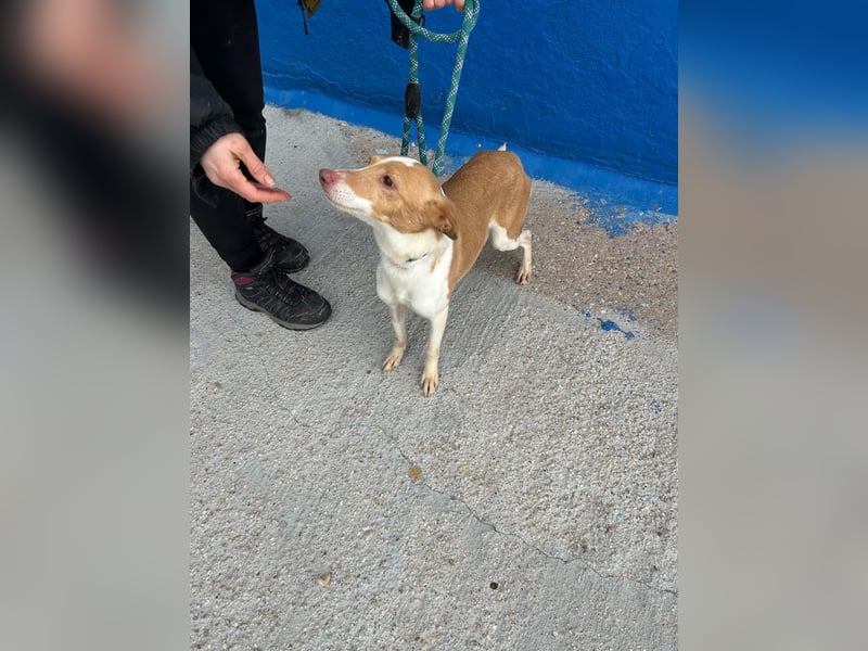 Nayra, freundlich und menschenbezogen