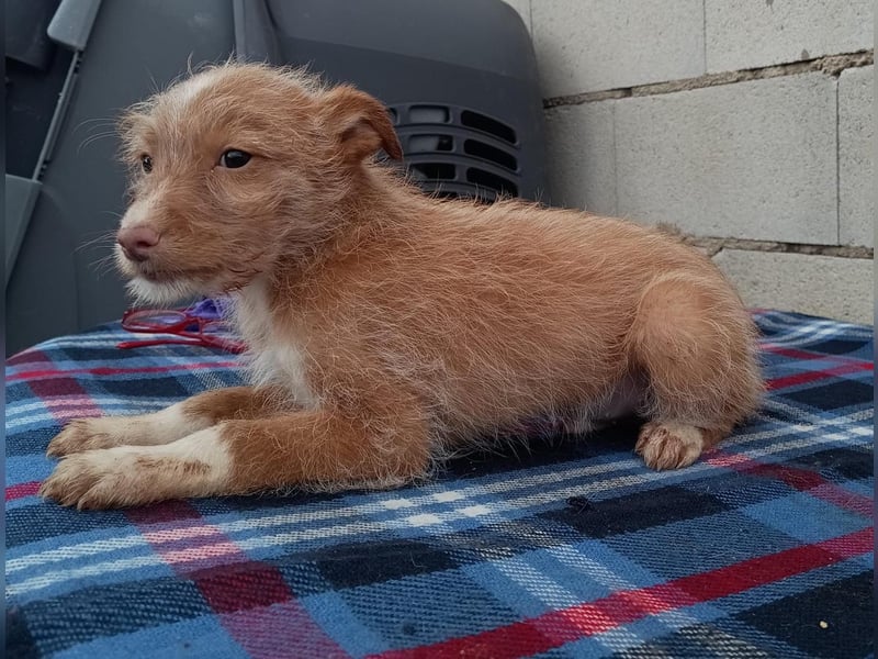 Carlos, bringt gute Laune ins neue Heim