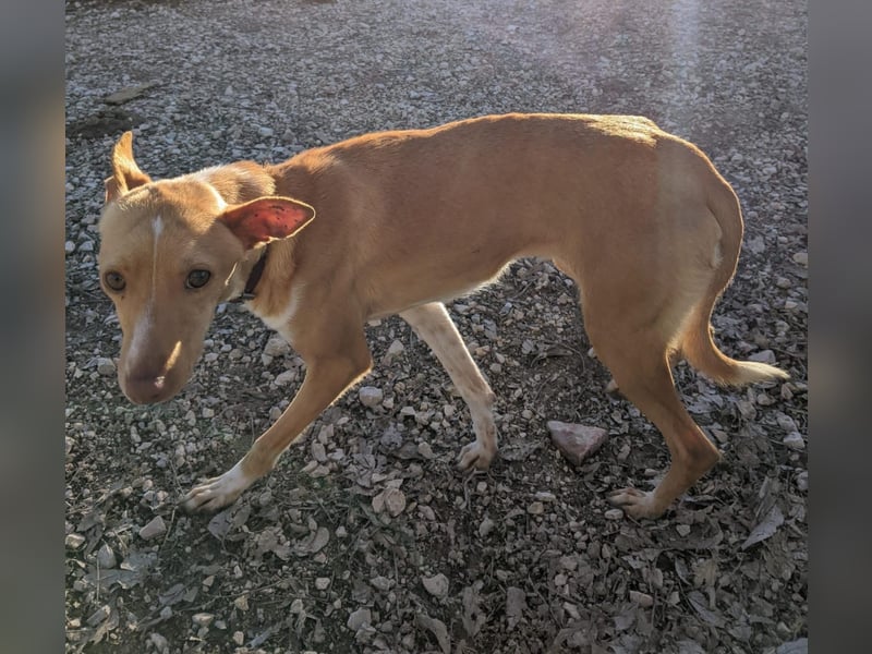 April, vorsichtig und noch schüchtern