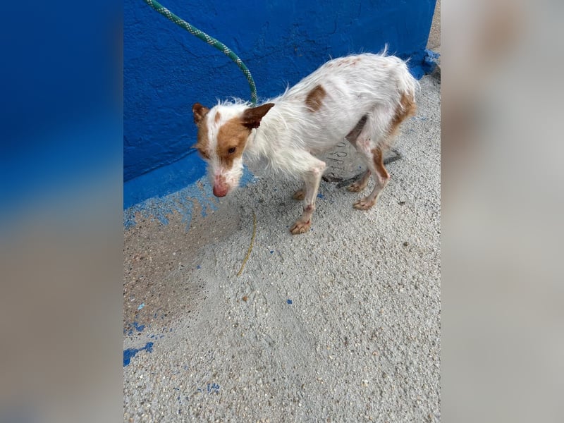 Black, hatte keine schöne Vergangenheit