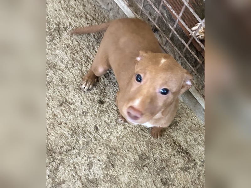 Okal - kleine Entdeckerin auf dem Weg ins Glück