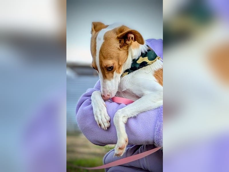 Casillas, verschmust und absolut liebenswert