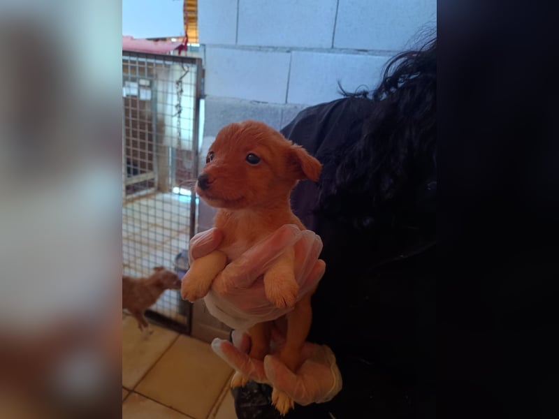 Bianca, bereit fürs Familienleben