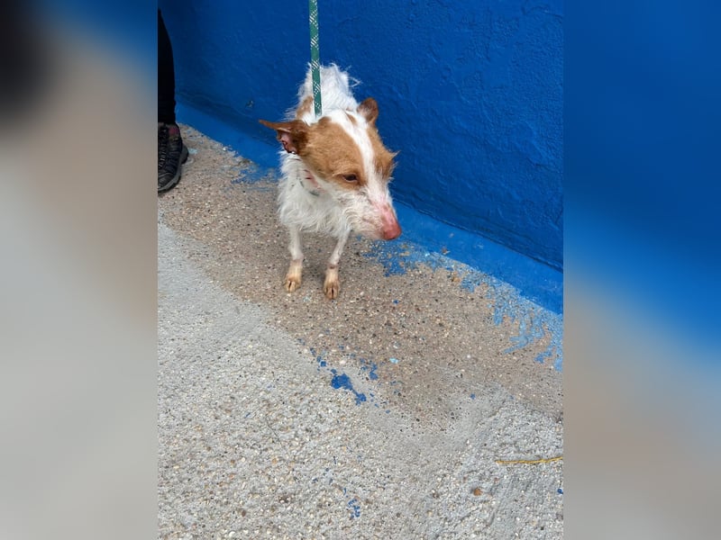 Black, hatte keine schöne Vergangenheit