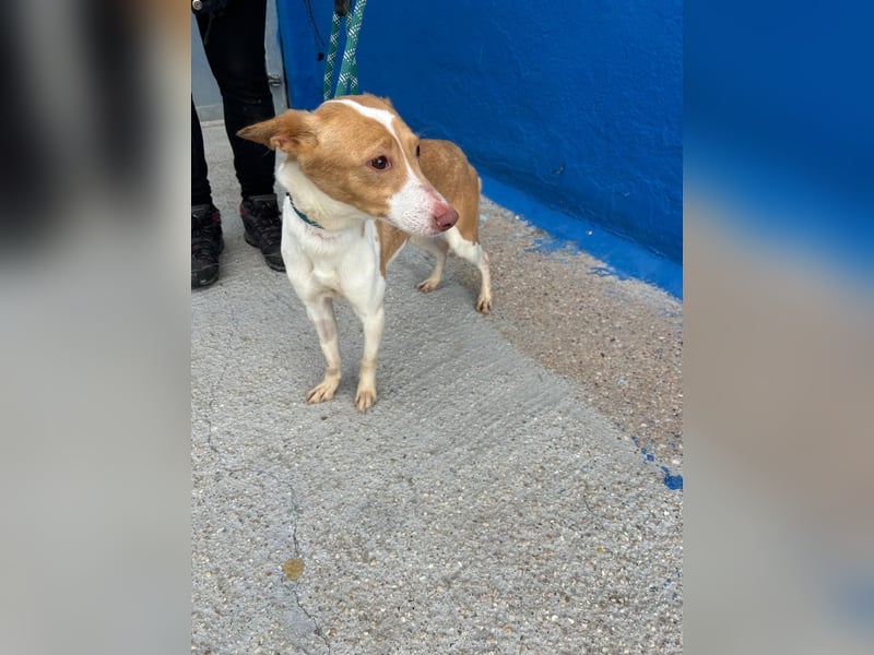 Nayra, freundlich und menschenbezogen