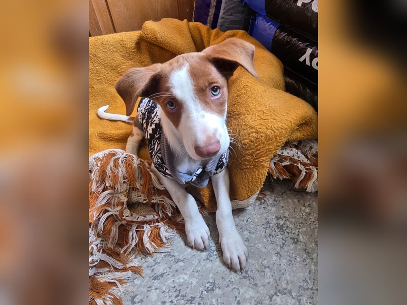 Jalo sucht seine Familie