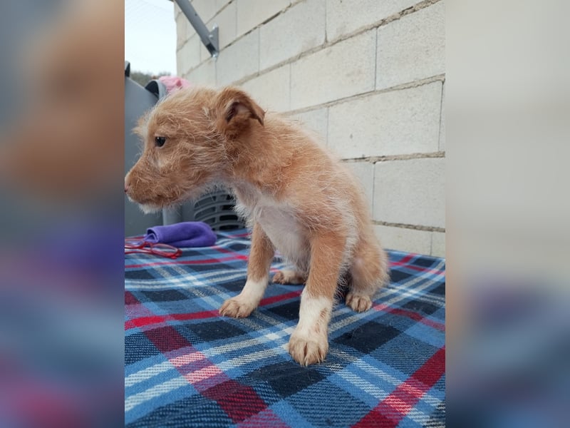 Carlos, bringt gute Laune ins neue Heim