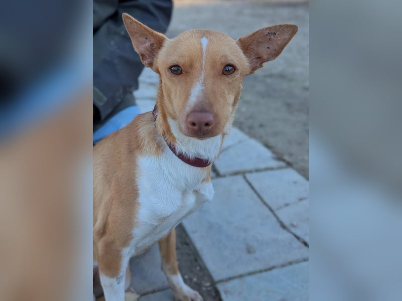 April, vorsichtig und noch schüchtern