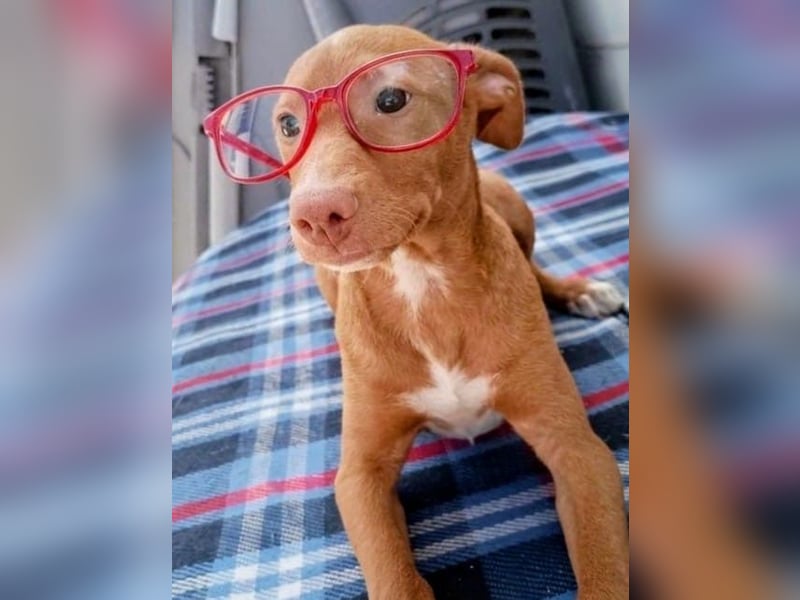 Okal - kleine Entdeckerin auf dem Weg ins Glück