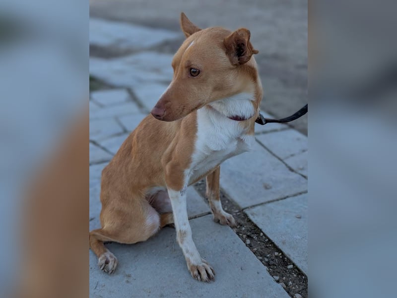 April, vorsichtig und noch schüchtern