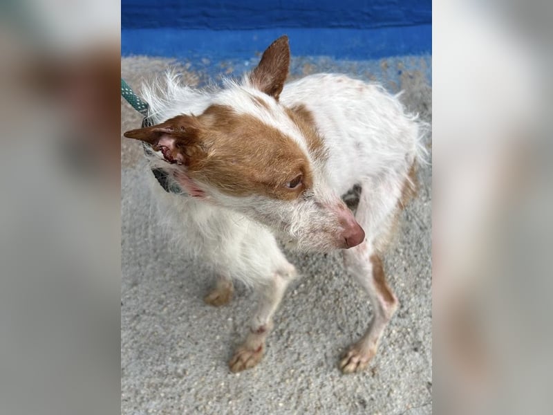 Black, hatte keine schöne Vergangenheit