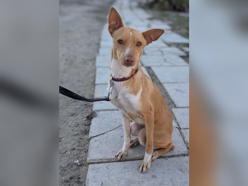 April, vorsichtig und noch schüchtern