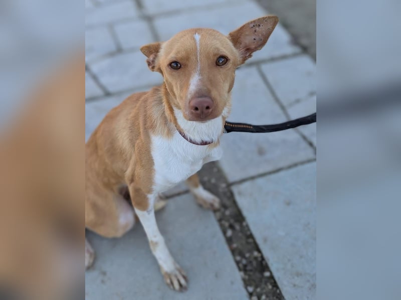 April, vorsichtig und noch schüchtern