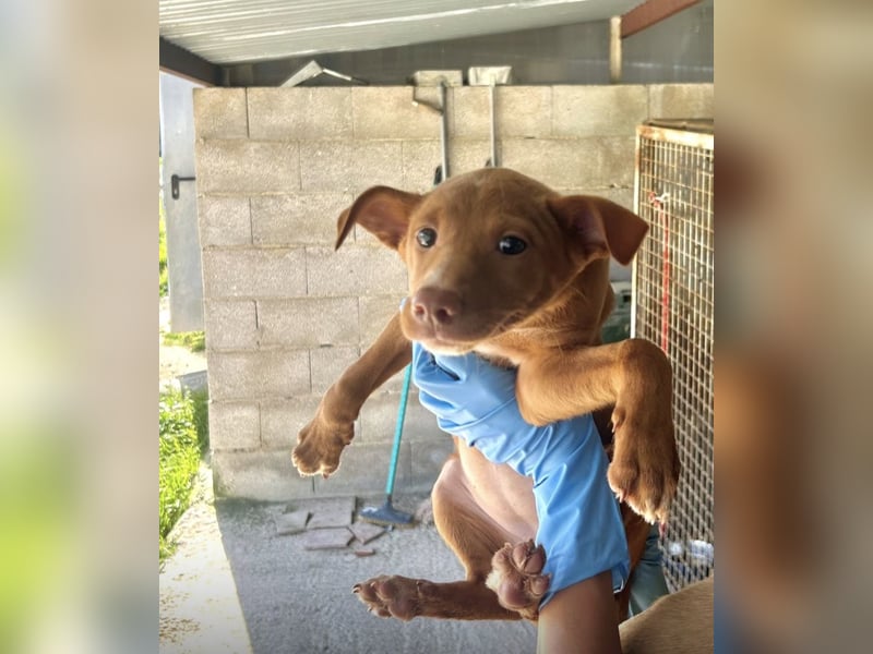Okal - kleine Entdeckerin auf dem Weg ins Glück