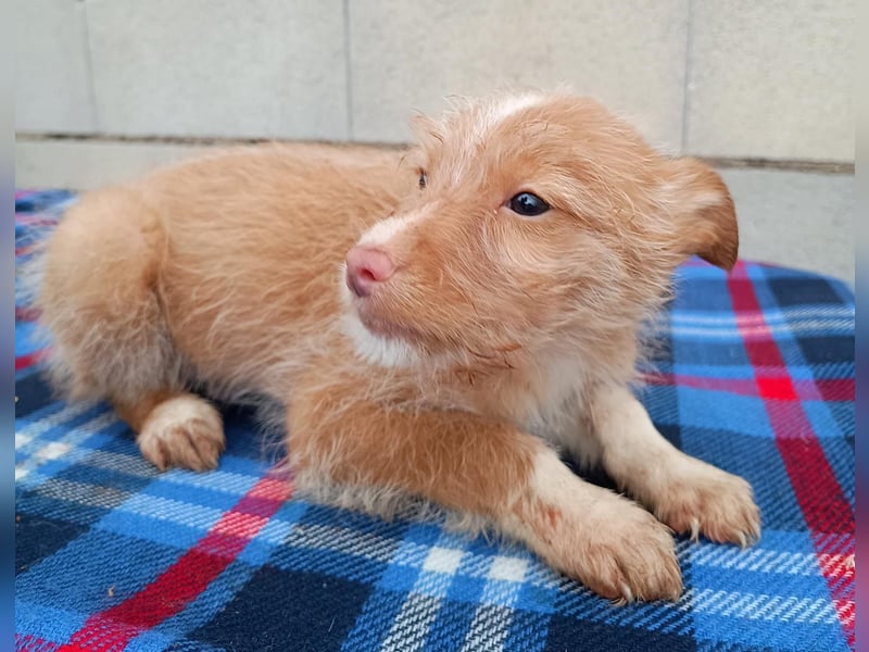 Carlos, bringt gute Laune ins neue Heim