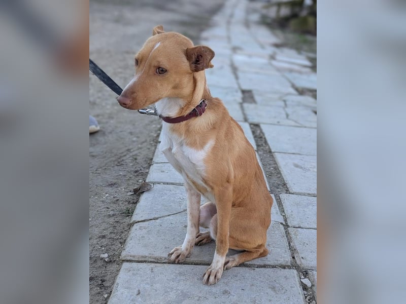 April, vorsichtig und noch schüchtern