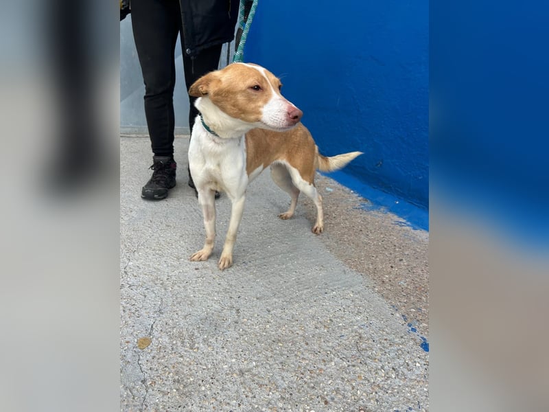 Nayra, freundlich und menschenbezogen