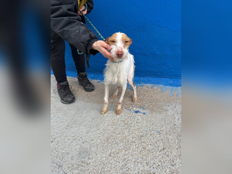 Black, hatte keine schöne Vergangenheit