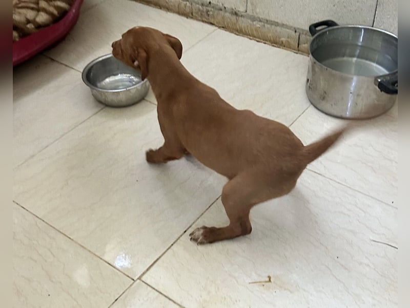 Okal - kleine Entdeckerin auf dem Weg ins Glück