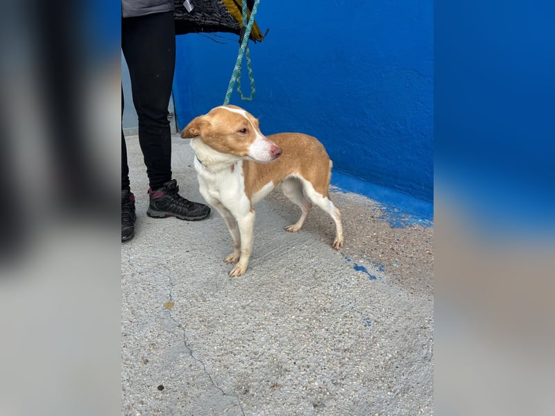 Nayra, freundlich und menschenbezogen