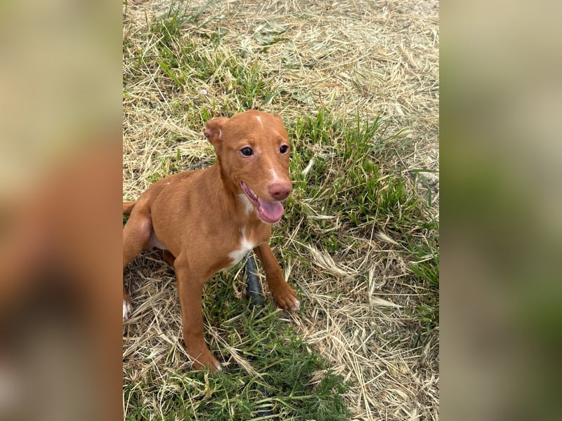 Okal - kleine Entdeckerin auf dem Weg ins Glück