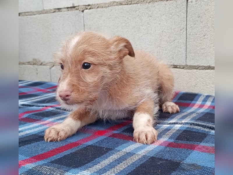 Carlos, bringt gute Laune ins neue Heim