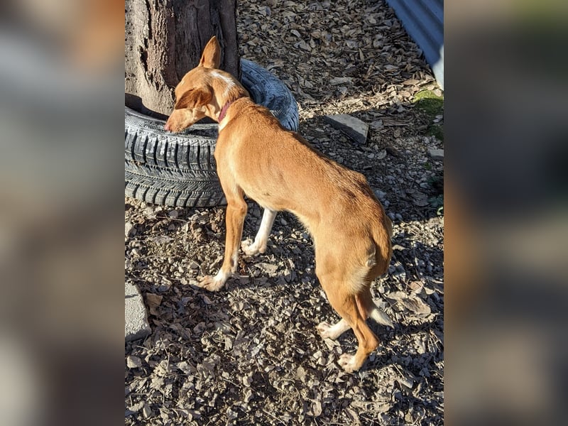 April, vorsichtig und noch schüchtern