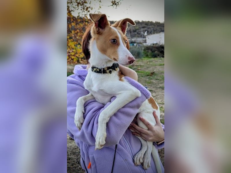 Casillas, verschmust und absolut liebenswert