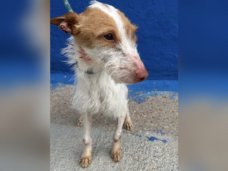 Black, hatte keine schöne Vergangenheit