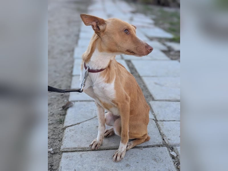 April, vorsichtig und noch schüchtern