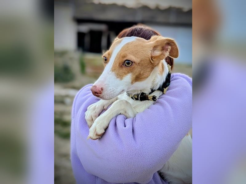 Casillas, verschmust und absolut liebenswert