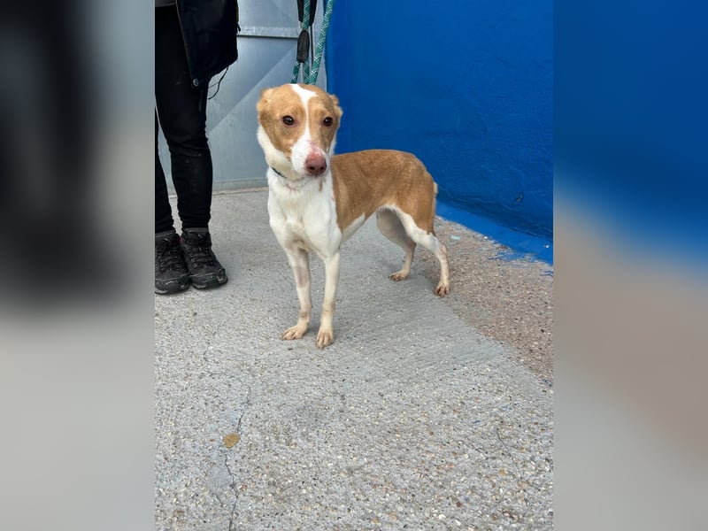 Nayra, freundlich und menschenbezogen