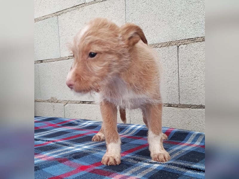 Carlos, bringt gute Laune ins neue Heim