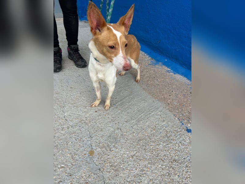 Nayra, freundlich und menschenbezogen